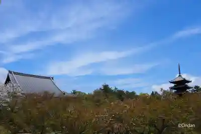 仁和寺のその他建物