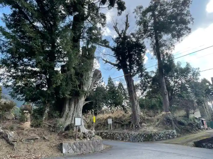 熊野神社(滋賀県)