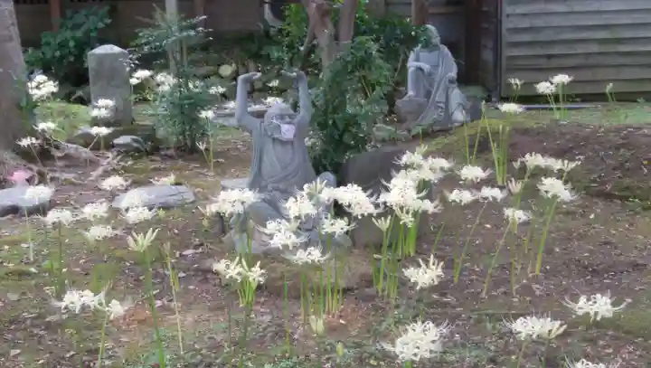願掛け寺 香林寺の像