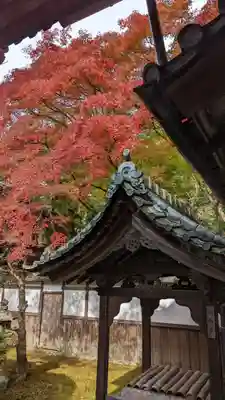 毘沙門堂門跡(京都府)