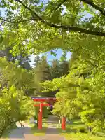 蚊里田八幡宮の{uncategorized: "未分類", other: "その他", undefined: "問題あり", building: "その他建物", grave: "お墓", sacred_gate: "鳥居", guardian: "狛犬", statue: "像", buddha: "仏像", history: "歴史", nature: "自然", garden: "庭園", animal: "動物", pagoda: "塔", temizu: "手水舎", mountain_gate: "山門・神門", sanctuary: "本殿・本堂", subordinate: "末社・摂社", art: "芸術", scenery: "景色", jizo: "地蔵", ema: "絵馬", goshuin: "御朱印", omikuji: "おみくじ", items: "授与品その他", amulet: "お守り", goshuincho: "御朱印帳", eats: "食事", festival: "お祭り", votive_dance: "神楽", shichigosan: "七五三参", wedding: "結婚式", experience: "体験その他", initially: "初詣", around: "周辺", anti_infection: "感染症対策"}