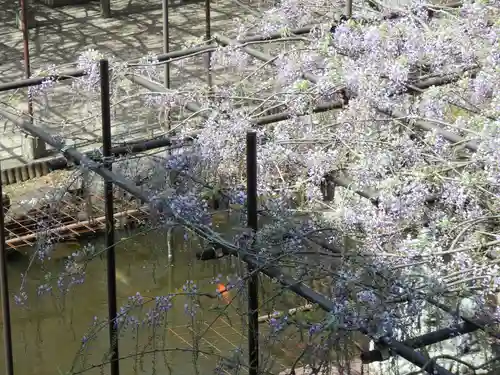 長泉寺の景色