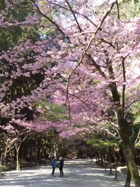 近江神宮の自然