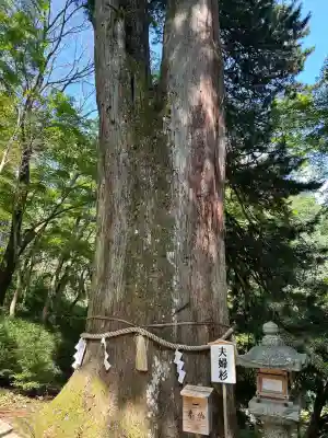 談山神社(奈良県)