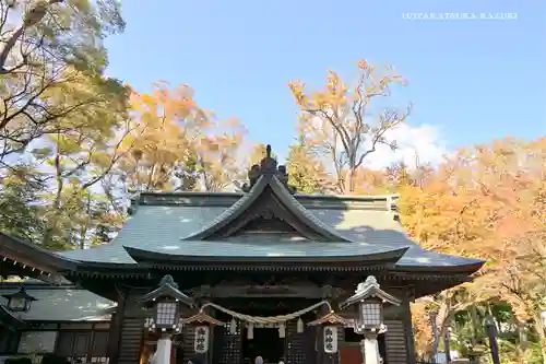 小室浅間神社の本殿