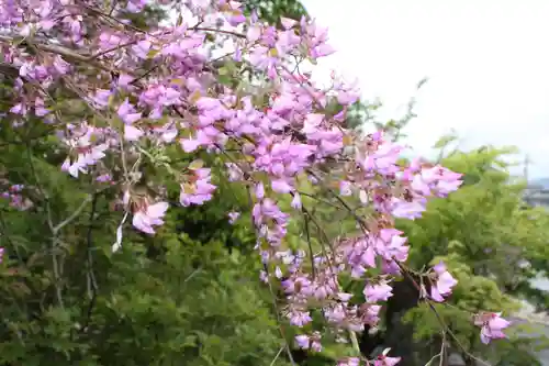 西應寺(滋賀県)
