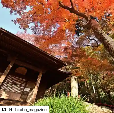 普門寺(切り絵御朱印発祥の寺)の本殿・本堂
