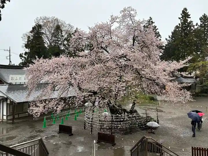 高麗神社(埼玉県)