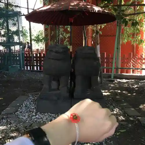 浅草神社の狛犬