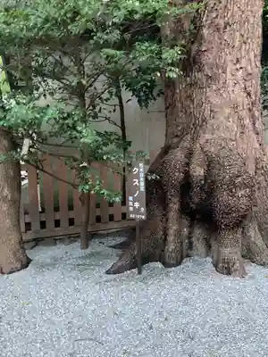 伊勢山皇大神宮(神奈川県)