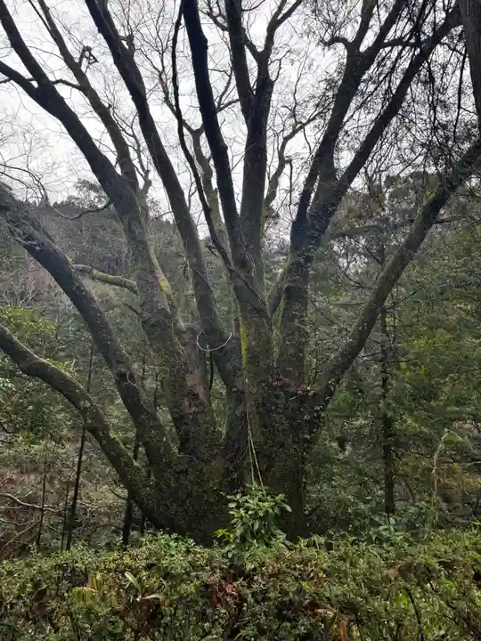 天安河原宮(宮崎県)
