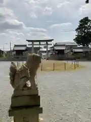 住吉神社の狛犬