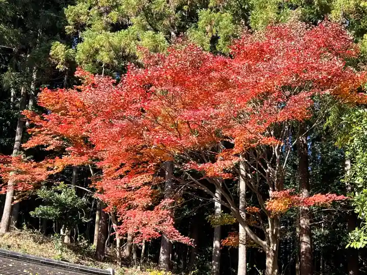 慈光寺(埼玉県)