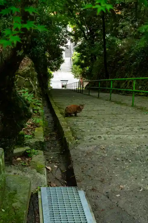 新田神社(鹿児島県)