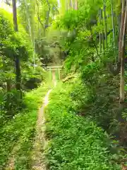 香取神宮(千葉県)