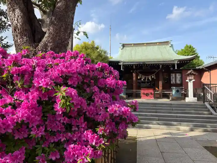 小村井 香取神社(東京都)