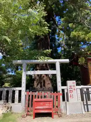 大杉神社(茨城県)