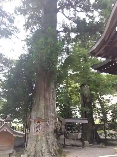 森水無八幡神社(岐阜県)