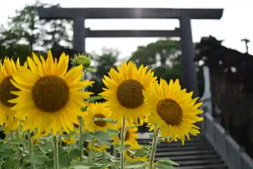 伊勢山皇大神宮(神奈川県)