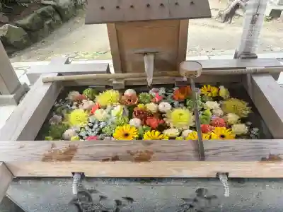 四條畷神社の{uncategorized: "未分類", other: "その他", undefined: "問題あり", building: "その他建物", grave: "お墓", sacred_gate: "鳥居", guardian: "狛犬", statue: "像", buddha: "仏像", history: "歴史", nature: "自然", garden: "庭園", animal: "動物", pagoda: "塔", temizu: "手水舎", mountain_gate: "山門・神門", sanctuary: "本殿・本堂", subordinate: "末社・摂社", art: "芸術", scenery: "景色", jizo: "地蔵", ema: "絵馬", goshuin: "御朱印", omikuji: "おみくじ", items: "授与品その他", amulet: "お守り", goshuincho: "御朱印帳", eats: "食事", festival: "お祭り", votive_dance: "神楽", shichigosan: "七五三参", wedding: "結婚式", experience: "体験その他", initially: "初詣", around: "周辺", anti_infection: "感染症対策"}