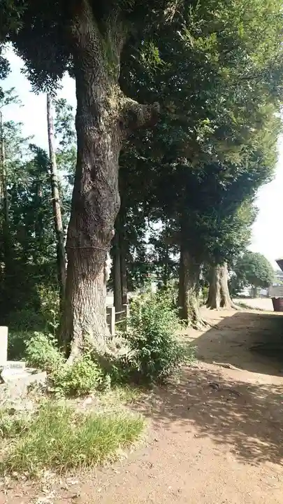 鶴峯八幡宮の自然