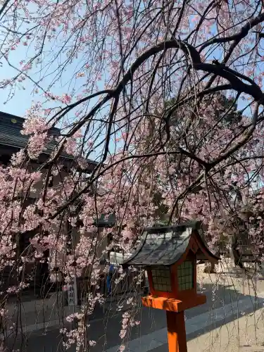 太道教本部の{uncategorized: "未分類", other: "その他", undefined: "問題あり", building: "その他建物", grave: "お墓", sacred_gate: "鳥居", guardian: "狛犬", statue: "像", buddha: "仏像", history: "歴史", nature: "自然", garden: "庭園", animal: "動物", pagoda: "塔", temizu: "手水舎", mountain_gate: "山門・神門", sanctuary: "本殿・本堂", subordinate: "末社・摂社", art: "芸術", scenery: "景色", jizo: "地蔵", ema: "絵馬", goshuin: "御朱印", omikuji: "おみくじ", items: "授与品その他", amulet: "お守り", goshuincho: "御朱印帳", eats: "食事", festival: "お祭り", votive_dance: "神楽", shichigosan: "七五三参", wedding: "結婚式", experience: "体験その他", initially: "初詣", around: "周辺", anti_infection: "感染症対策"}