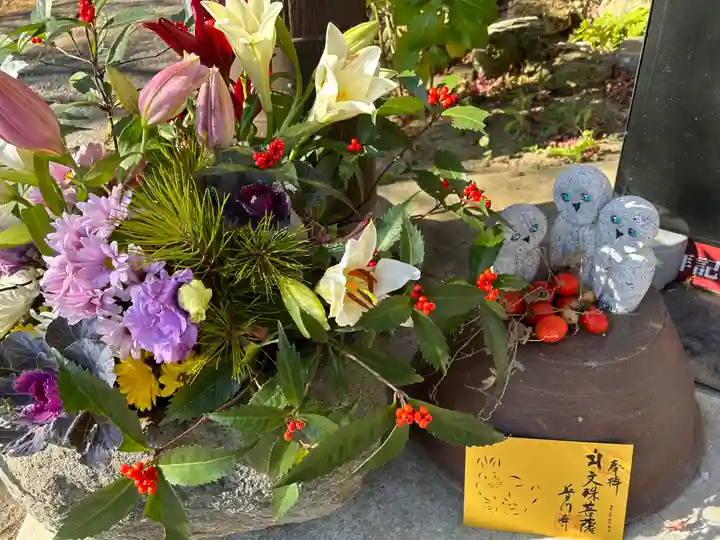 普門寺(切り絵御朱印発祥の寺)の御朱印