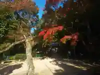 獅子窟寺の自然