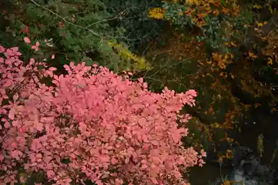 竹之高地不動社(新潟県)