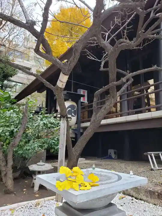 高円寺氷川神社(東京都)