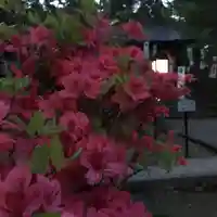 土津神社|こどもと出世の神さまの自然