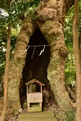 石見国一宮　物部神社(島根県)