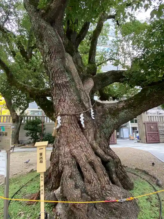 難波神社の自然