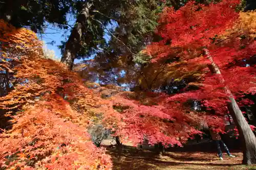 眞田神社の自然