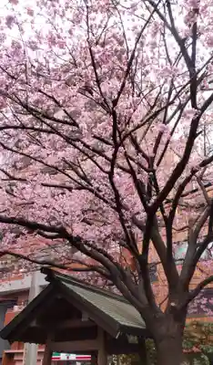 蔵前神社(東京都)
