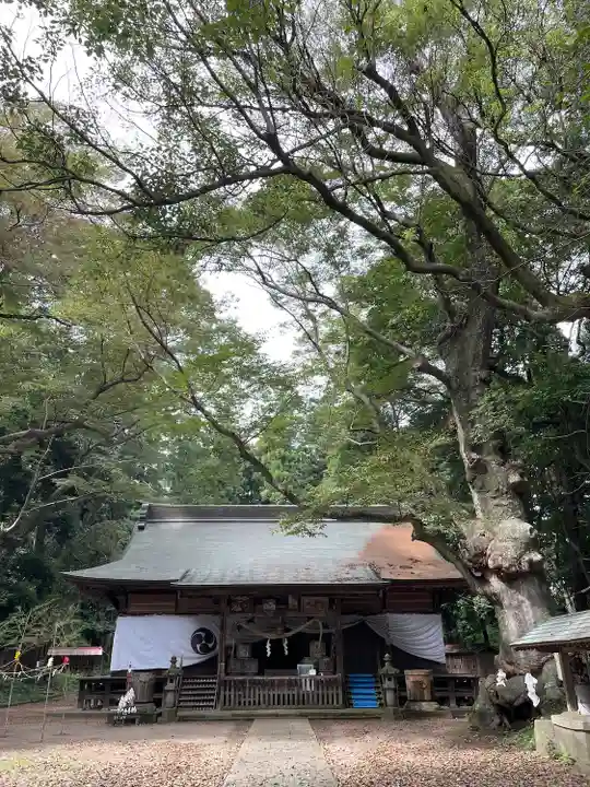 中村八幡宮(栃木県)