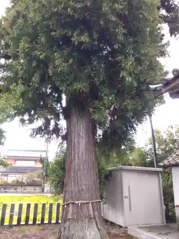 神明神社(福井県)