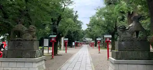 鷲宮神社の狛犬