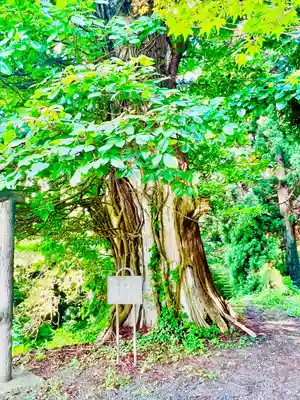 箟峯寺(宮城県)