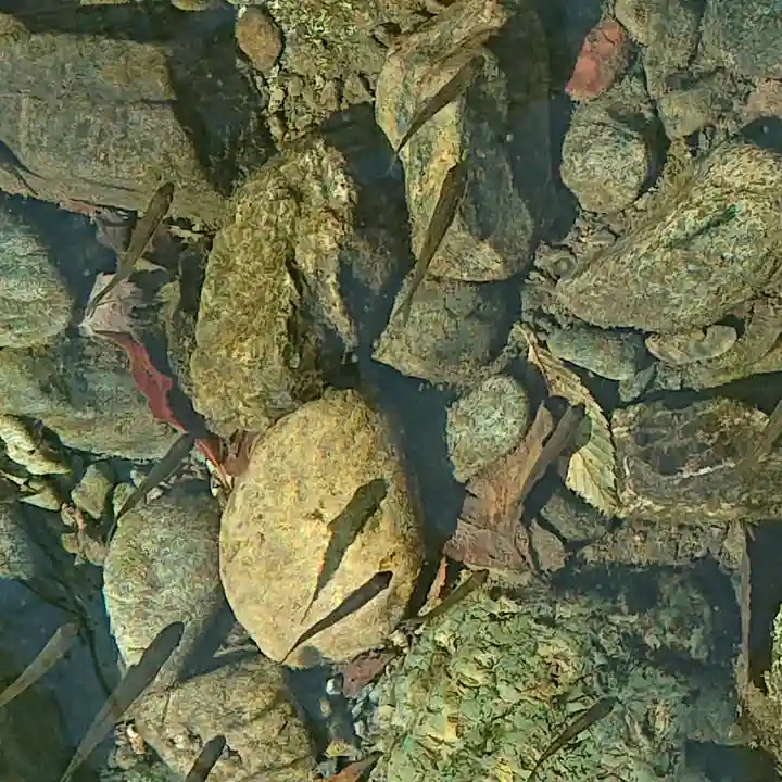 伊勢神宮内宮(皇大神宮)(三重県)