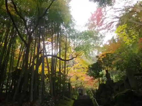 東慶寺の庭園