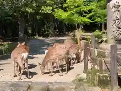 春日大社(奈良県)