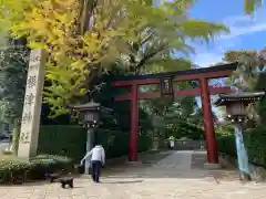 根津神社の鳥居