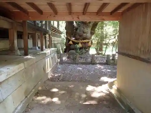 狭野神社のその他建物