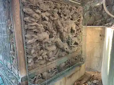 成田山新勝寺の芸術