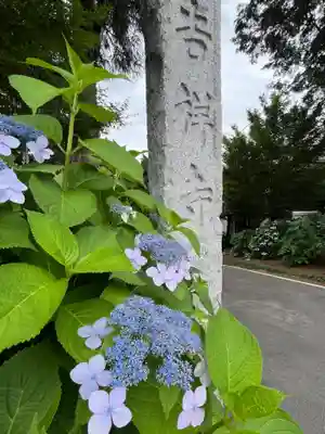 吉祥寺(埼玉県)