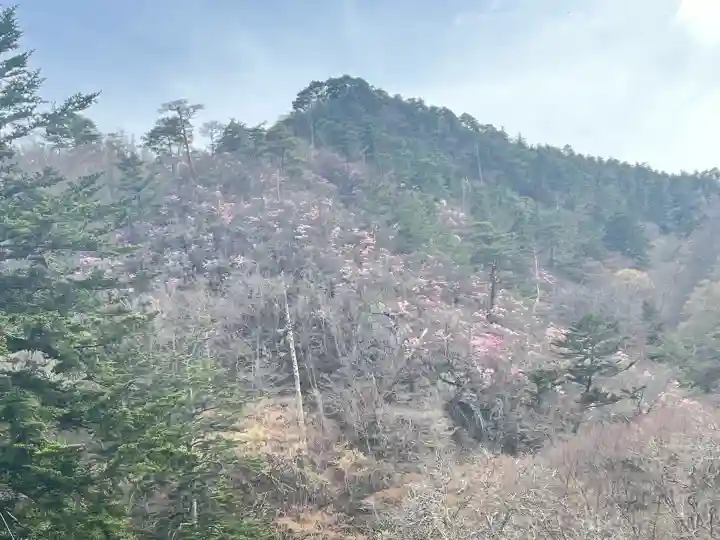 小川諏訪神社の{uncategorized: "未分類", other: "その他", undefined: "問題あり", building: "その他建物", grave: "お墓", sacred_gate: "鳥居", guardian: "狛犬", statue: "像", buddha: "仏像", history: "歴史", nature: "自然", garden: "庭園", animal: "動物", pagoda: "塔", temizu: "手水舎", mountain_gate: "山門・神門", sanctuary: "本殿・本堂", subordinate: "末社・摂社", art: "芸術", scenery: "景色", jizo: "地蔵", ema: "絵馬", goshuin: "御朱印", omikuji: "おみくじ", items: "授与品その他", amulet: "お守り", goshuincho: "御朱印帳", eats: "食事", festival: "お祭り", votive_dance: "神楽", shichigosan: "七五三参", wedding: "結婚式", experience: "体験その他", initially: "初詣", around: "周辺", anti_infection: "感染症対策"}