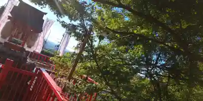 出雲大神宮のその他建物