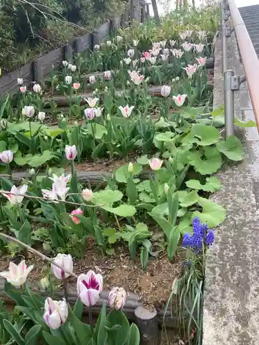 泉蔵寺の庭園