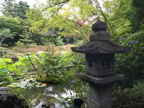 退蔵院の庭園